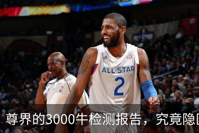 尊界的3000牛检测报告，究竟隐匿了什么？
